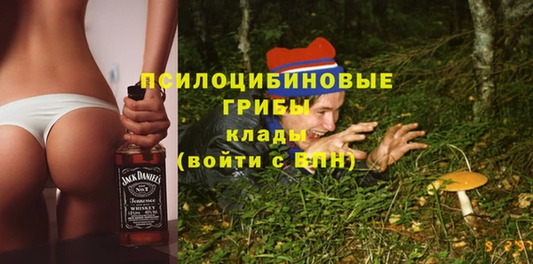 мдпв Новокубанск