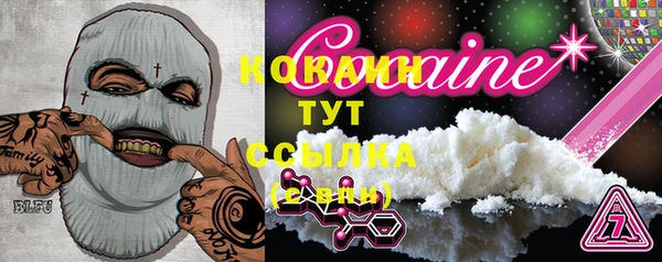 шишки Новозыбков