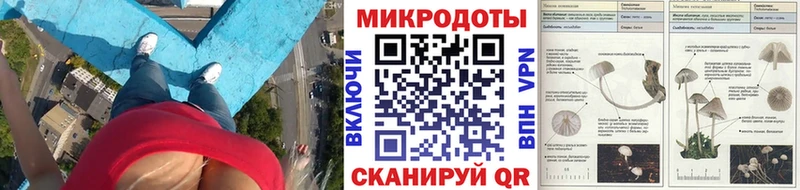 Галлюциногенные грибы Cubensis  Курчатов 